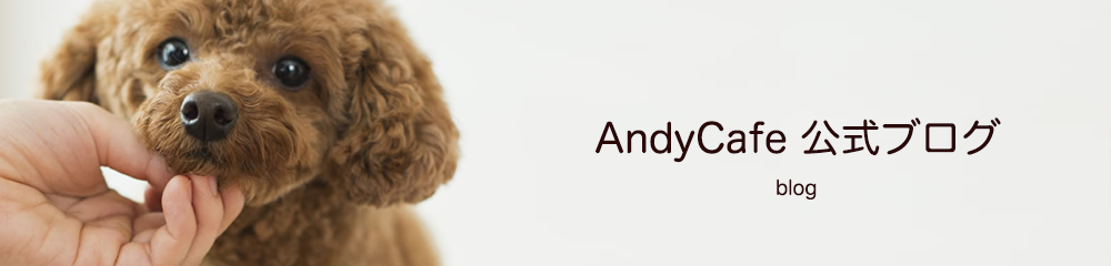 愛犬が吠える３つの理由 ドッグトータルサポートならandycafe アンディカフェ 公式ブログ