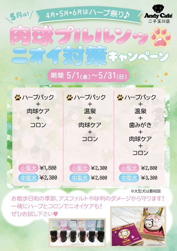 5月サロン 肉球プルルンッ ニオイ対策キャンペーン