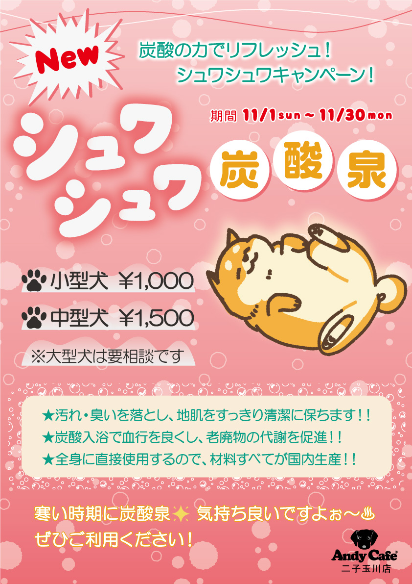 11月サロン シュワシュワ炭酸泉