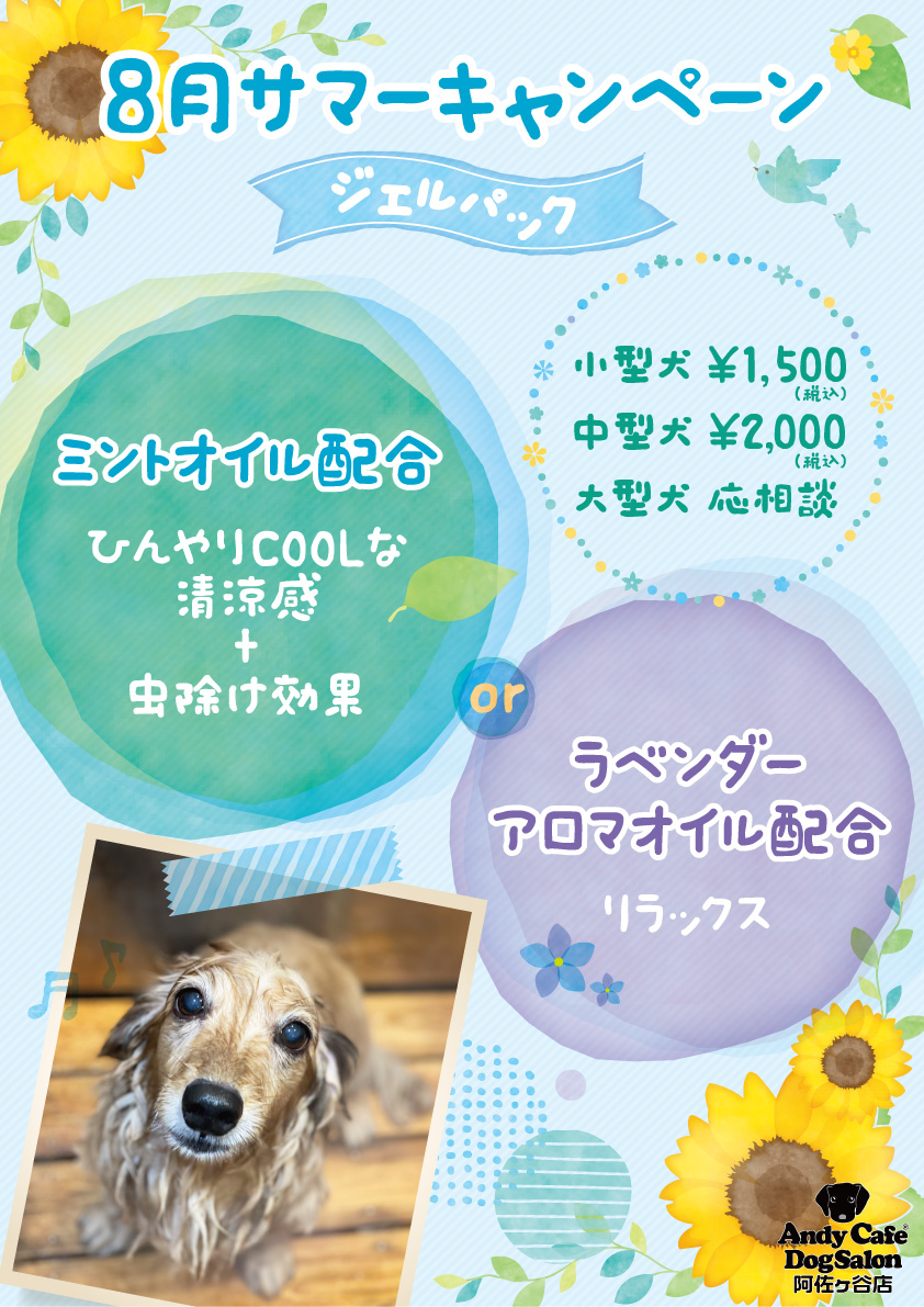 市場 P5倍 エンジョイ アロマで消臭ペットシート 送料無料 ワイド 15 7 サマーキャンペーン 10時 18日9 59まで 31枚入り